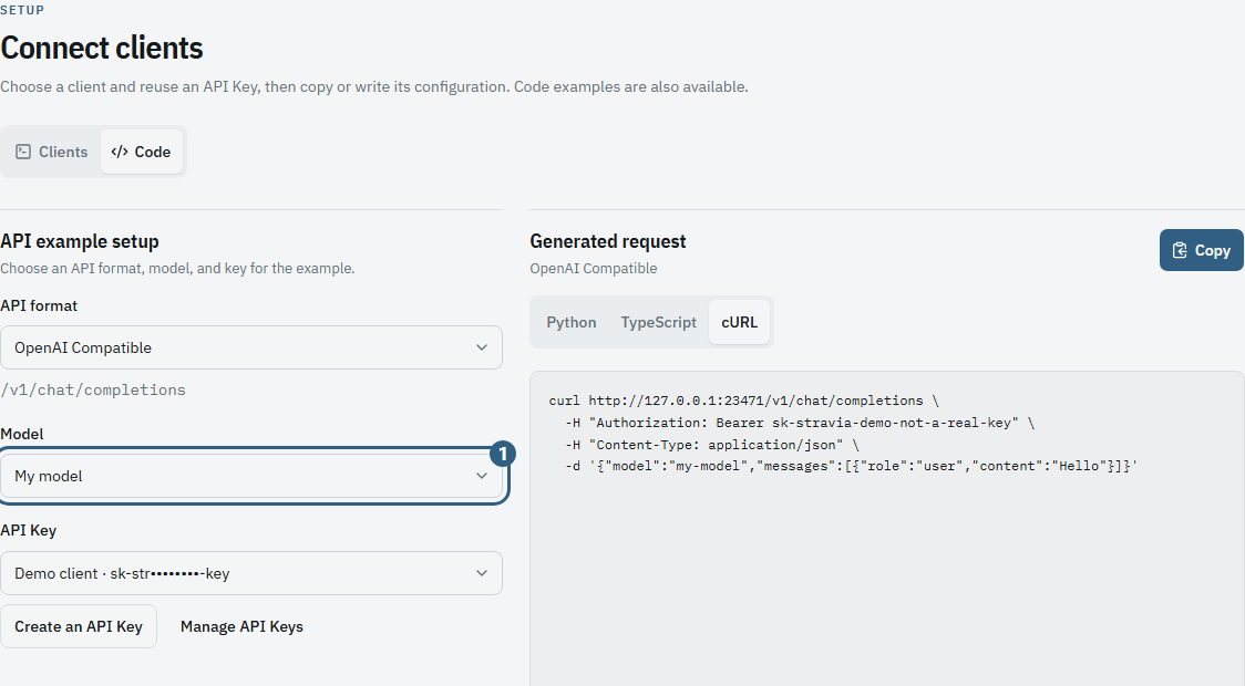 Review the generated cURL example with its Stravia endpoint, model and API key placeholder.